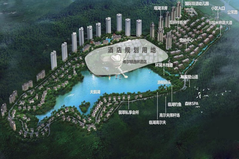 金地湖山大境效果图 