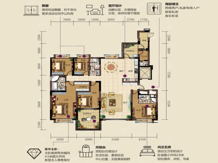 虎门碧桂园户型 