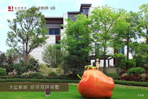 大运城邦玫瑰府邸实景图 