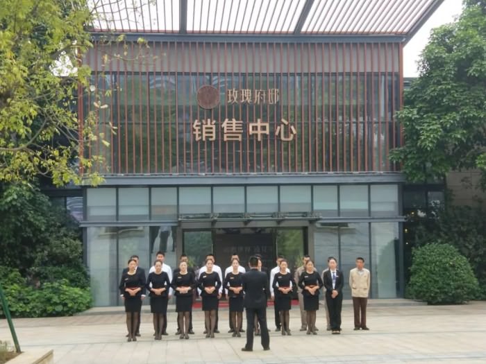 大运城邦玫瑰府邸实景图 