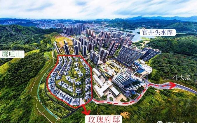 大运城邦玫瑰府邸实景图 